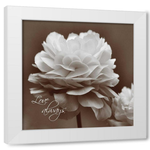 Sepia Blossoms II  White Modern Wood Framed Art Print by Romita, Denise