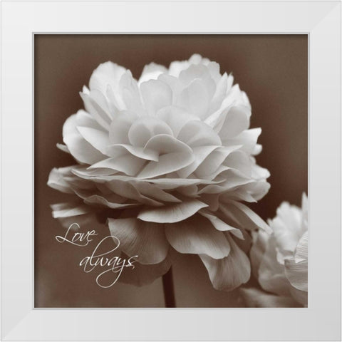Sepia Blossoms II  White Modern Wood Framed Art Print by Romita, Denise