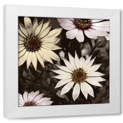 Hint of Spring I White Modern Wood Framed Art Print by Romita, Denise