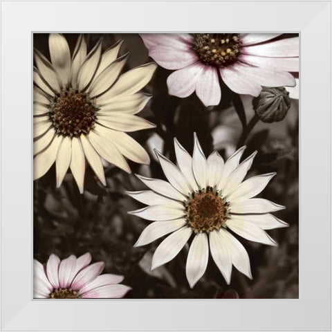 Hint of Spring I White Modern Wood Framed Art Print by Romita, Denise