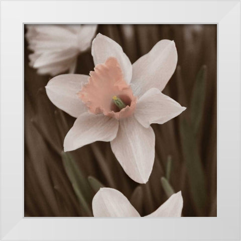 Hint of Spring II White Modern Wood Framed Art Print by Romita, Denise