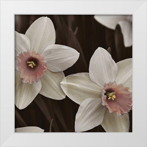 Hint of Spring III White Modern Wood Framed Art Print by Romita, Denise