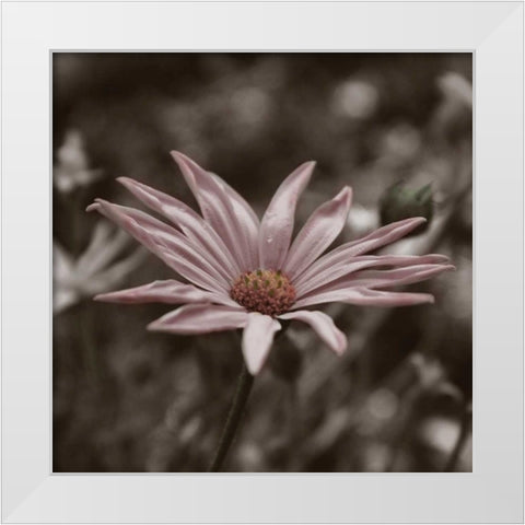 Hint of Spring IV White Modern Wood Framed Art Print by Romita, Denise