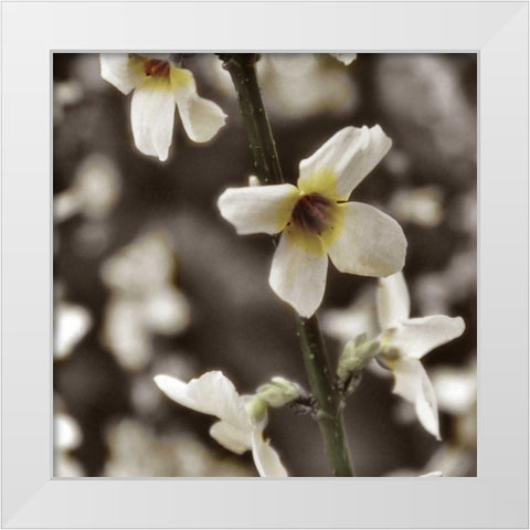 Hint of Spring VI White Modern Wood Framed Art Print by Romita, Denise