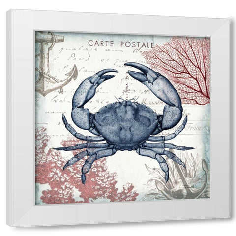 Coastal Sea Life II  White Modern Wood Framed Art Print by Tre Sorelle Studios