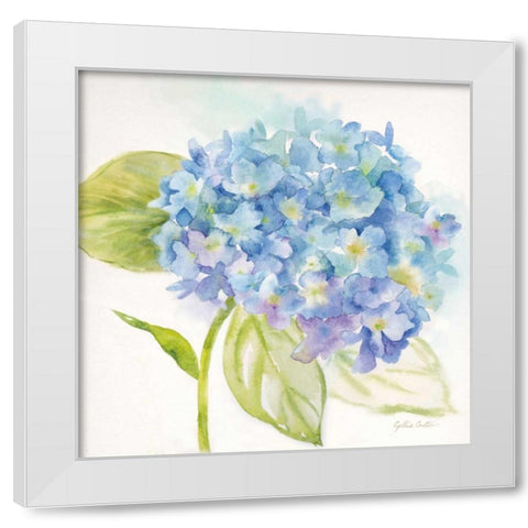 Painted Hydrangeas I White Modern Wood Framed Art Print by Coulter, Cynthia