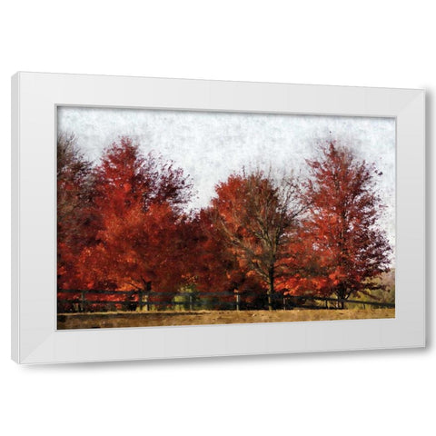 Fall Reds White Modern Wood Framed Art Print by Romita, Denise