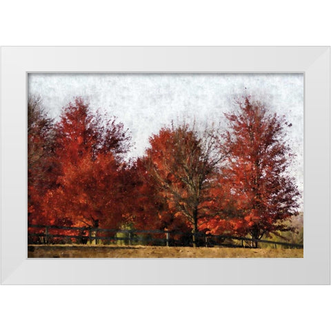 Fall Reds White Modern Wood Framed Art Print by Romita, Denise