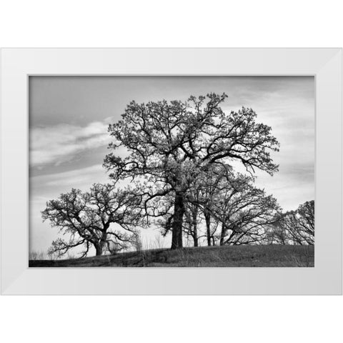 Parkside White Modern Wood Framed Art Print by Romita, Denise