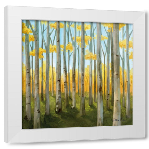 Birch Woods II White Modern Wood Framed Art Print by Milan, Vittorio