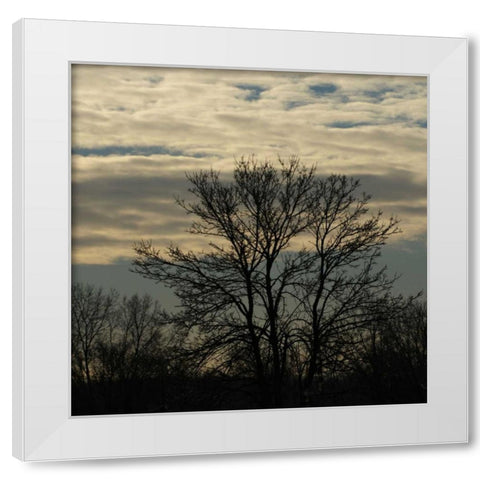 Morning Silhouette White Modern Wood Framed Art Print by Romita, Denise