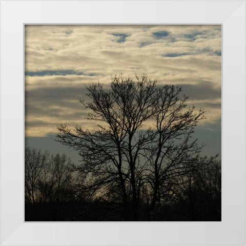 Morning Silhouette White Modern Wood Framed Art Print by Romita, Denise