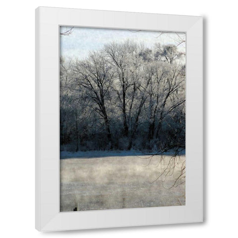 Ice Mist White Modern Wood Framed Art Print by Romita, Denise
