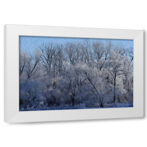 Ice Land White Modern Wood Framed Art Print by Romita, Denise