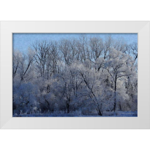 Ice Land White Modern Wood Framed Art Print by Romita, Denise