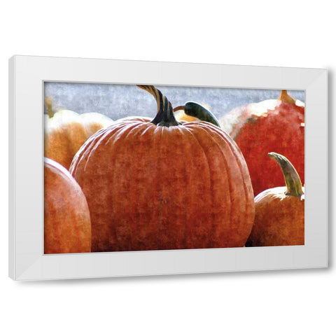 Fall Pumpkin White Modern Wood Framed Art Print by Romita, Denise