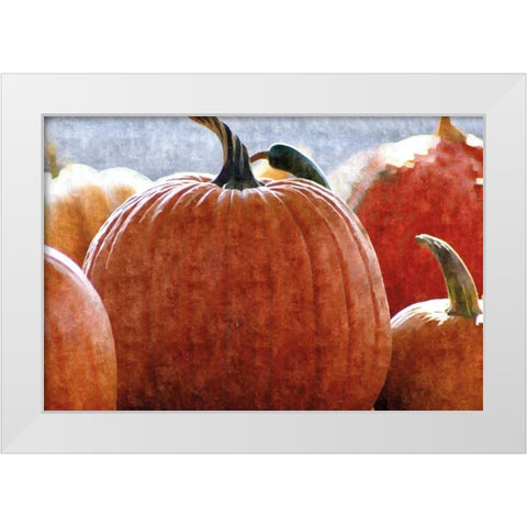 Fall Pumpkin White Modern Wood Framed Art Print by Romita, Denise