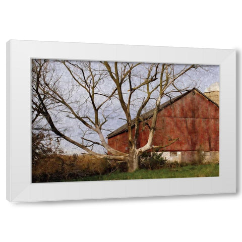 The Old Barn White Modern Wood Framed Art Print by Romita, Denise