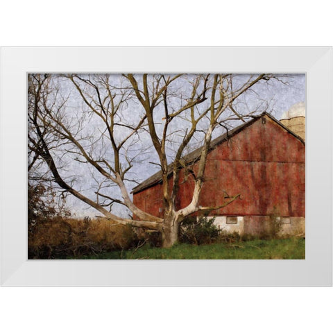 The Old Barn White Modern Wood Framed Art Print by Romita, Denise