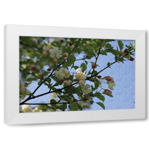 Blossom Branch White Modern Wood Framed Art Print by Romita, Denise
