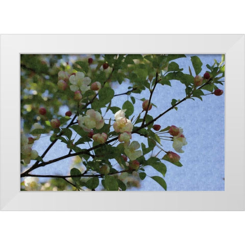 Blossom Branch White Modern Wood Framed Art Print by Romita, Denise