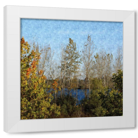 Trees of Fall White Modern Wood Framed Art Print by Romita, Denise
