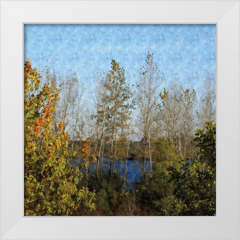 Trees of Fall White Modern Wood Framed Art Print by Romita, Denise
