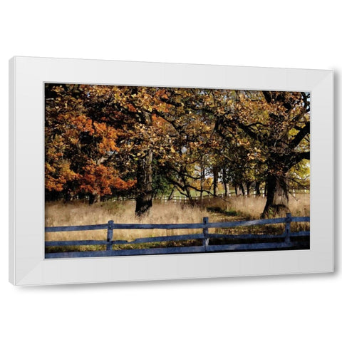 Fenced In White Modern Wood Framed Art Print by Romita, Denise