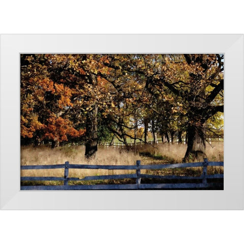 Fenced In White Modern Wood Framed Art Print by Romita, Denise