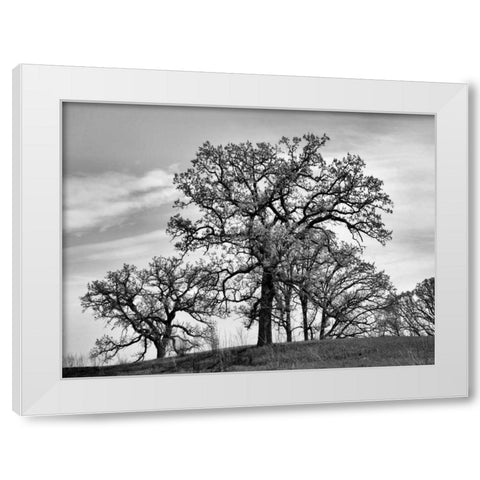 Parkside White Modern Wood Framed Art Print by Romita, Denise