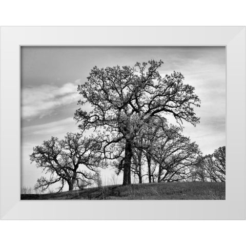 Parkside White Modern Wood Framed Art Print by Romita, Denise