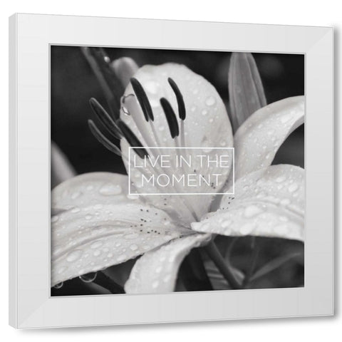 Say it in Black and White IV White Modern Wood Framed Art Print by Romita, Denise