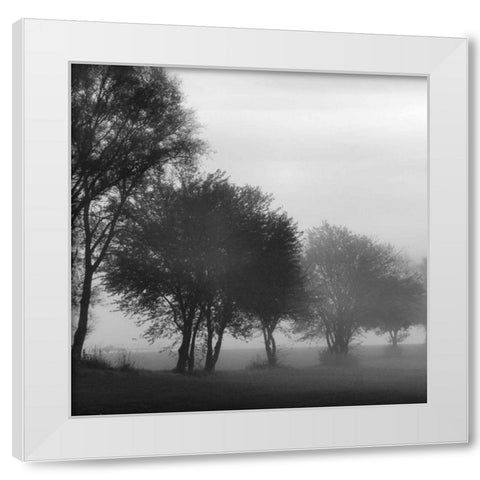 Fog Through the Trees I White Modern Wood Framed Art Print by Romita, Denise