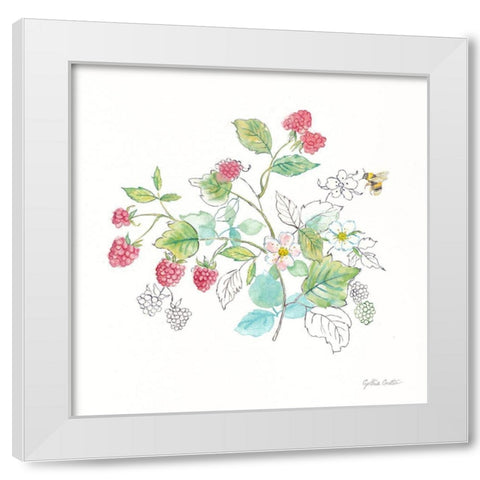 Berries and Bees V White Modern Wood Framed Art Print by Coulter, Cynthia
