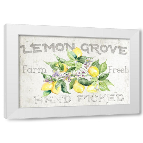 Lemon  Grove I White Modern Wood Framed Art Print by Tre Sorelle Studios