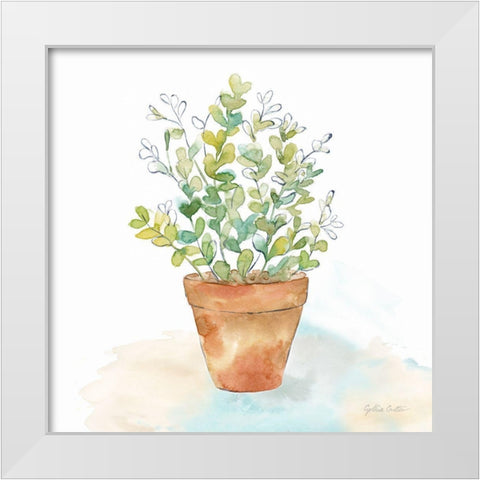 Let it Grow IX White Modern Wood Framed Art Print by Coulter, Cynthia