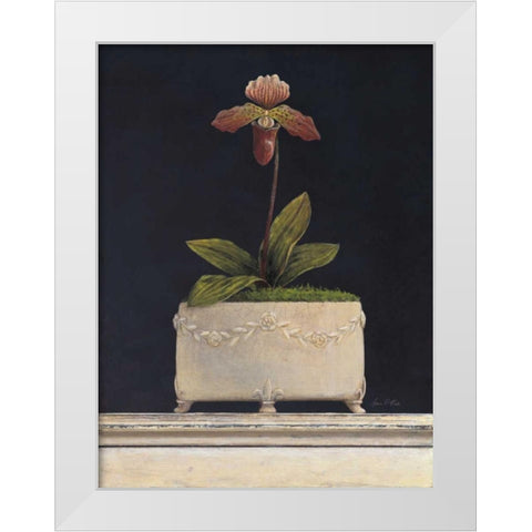 Plum Sugar Orchid White Modern Wood Framed Art Print by Fisk, Arnie
