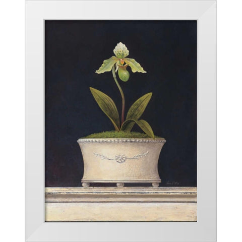 Chartreuse Sugar Orchid White Modern Wood Framed Art Print by Fisk, Arnie