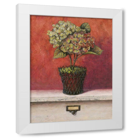 Hortensia Study White Modern Wood Framed Art Print by Fisk, Arnie