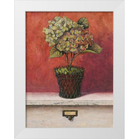 Hortensia Study White Modern Wood Framed Art Print by Fisk, Arnie
