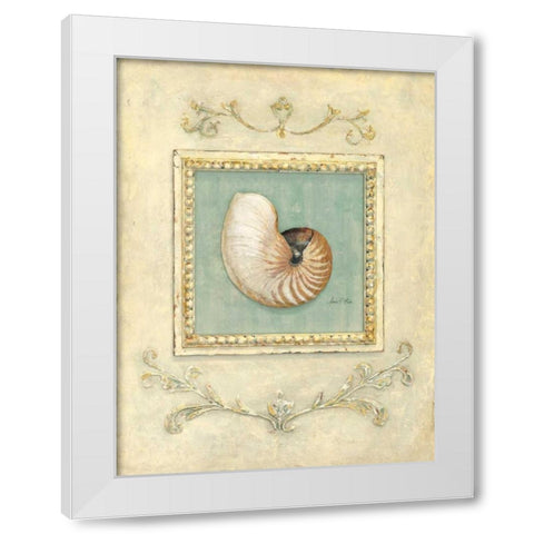 Classic Seashell Detail   White Modern Wood Framed Art Print by Fisk, Arnie