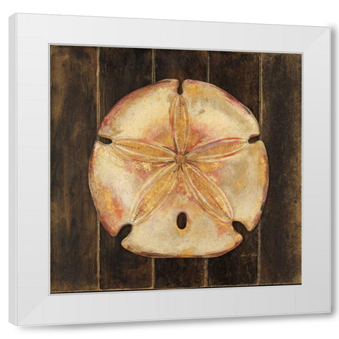 Ocean Sand Dollar White Modern Wood Framed Art Print by Fisk, Arnie