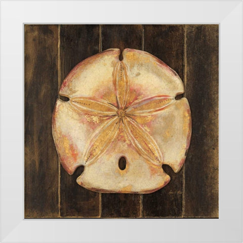 Ocean Sand Dollar White Modern Wood Framed Art Print by Fisk, Arnie
