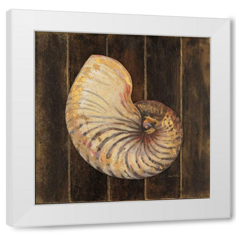 Ocean Nautilus White Modern Wood Framed Art Print by Fisk, Arnie