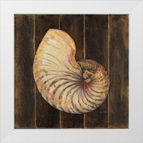 Ocean Nautilus White Modern Wood Framed Art Print by Fisk, Arnie