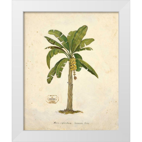 Banana Palm Illustration  White Modern Wood Framed Art Print by Fisk, Arnie