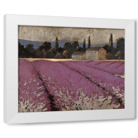 Lavender Fields 2 White Modern Wood Framed Art Print by Wiens, James