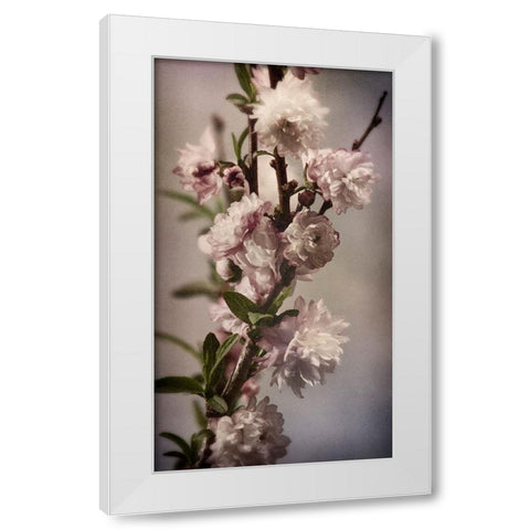 Blossoming Almond 1 White Modern Wood Framed Art Print by Greenwood, Julie