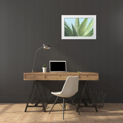 Soft Focus Succulent 1 White Modern Wood Framed Art Print by Greenwood, Julie