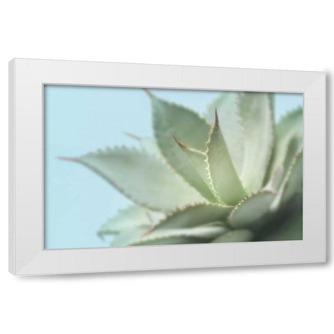 Soft Focus Succulent 4 White Modern Wood Framed Art Print by Greenwood, Julie